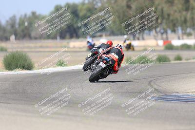 media/Sep-07-2025-Pacific Track Time (Sun) [[a6322260b9]]/A and B Group/Wheelie Bump A and B/